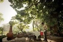 Mount Meru Game Lodge Arusha Bagian luar foto